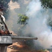 Cinco niños presentan probable intoxicación tras consumir fruta en Campeche