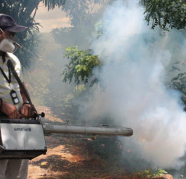 Cinco niños presentan probable intoxicación tras consumir fruta en Campeche