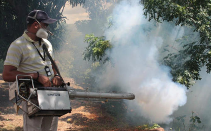 Cinco niños presentan probable intoxicación tras consumir fruta en Campeche