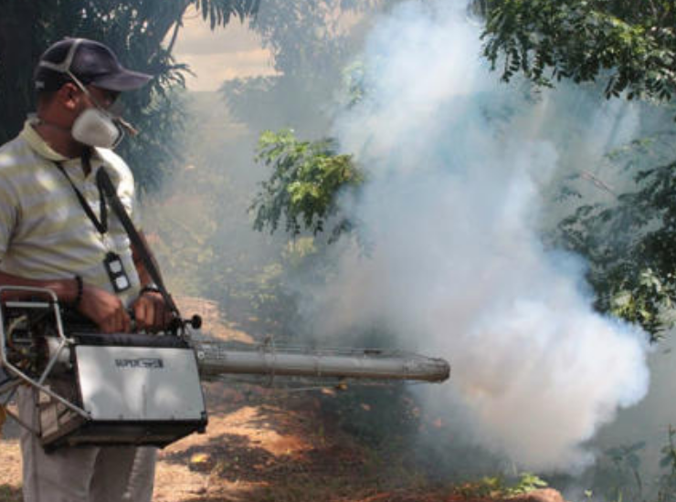Cinco niños presentan probable intoxicación tras consumir fruta en Campeche