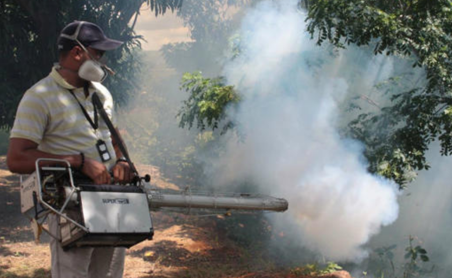 Cinco niños presentan probable intoxicación tras consumir fruta en Campeche