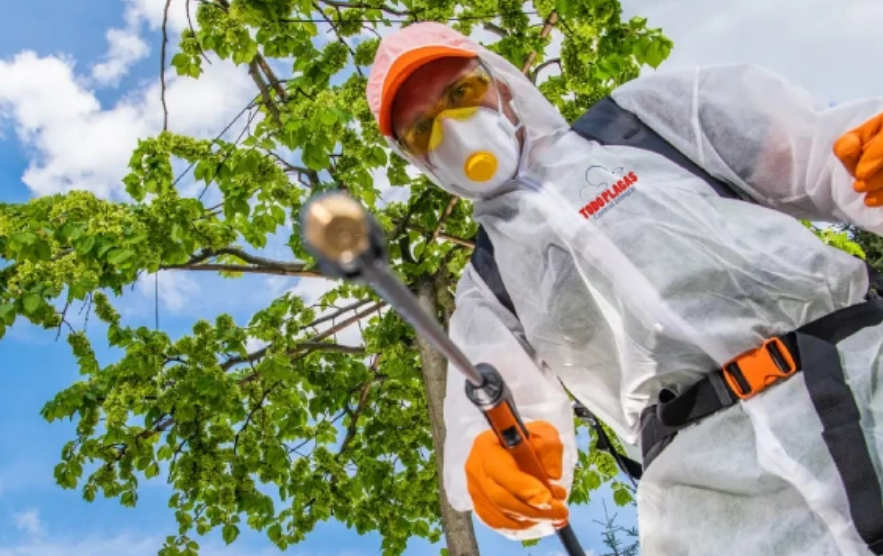 Antecedentes y carpetas de investigación por agroquímicos