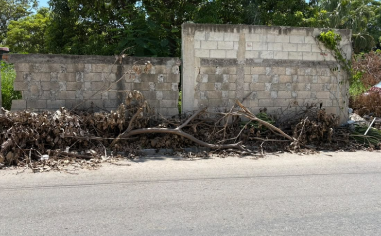Basura en las banquetas de Campeche, un problema común