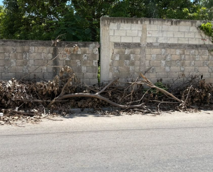 Basura en las banquetas de Campeche, un problema común