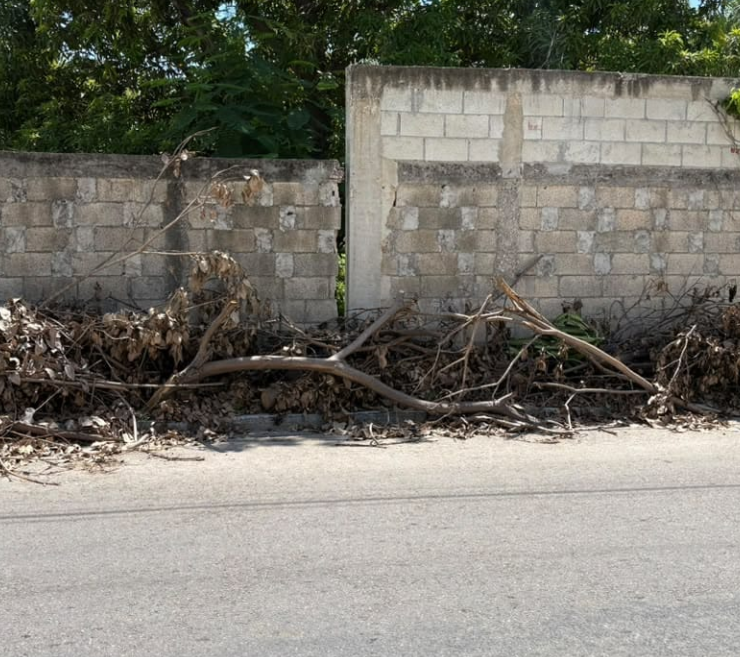 Basura en las banquetas de Campeche, un problema común