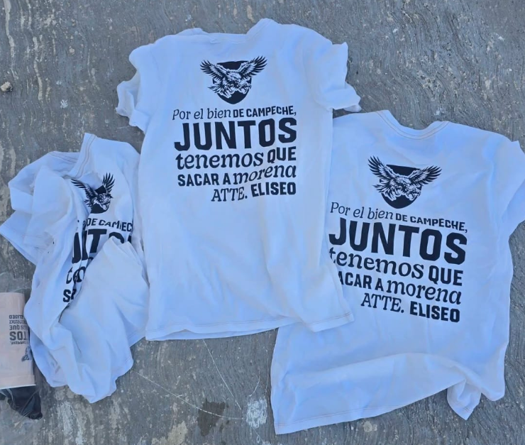 Movimiento Ciudadano bajo la lupa de Campeche