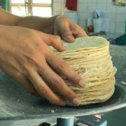 Sequía amenaza precio de la tortilla en Campeche