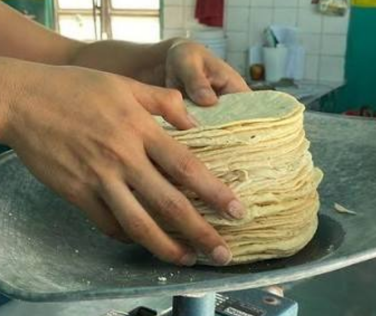 Sequía amenaza precio de la tortilla en Campeche