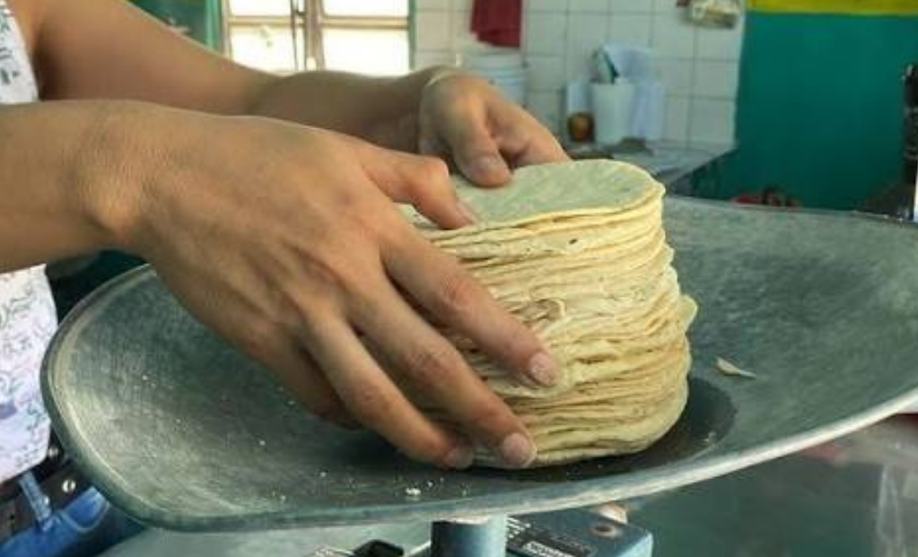 Sequía amenaza precio de la tortilla en Campeche