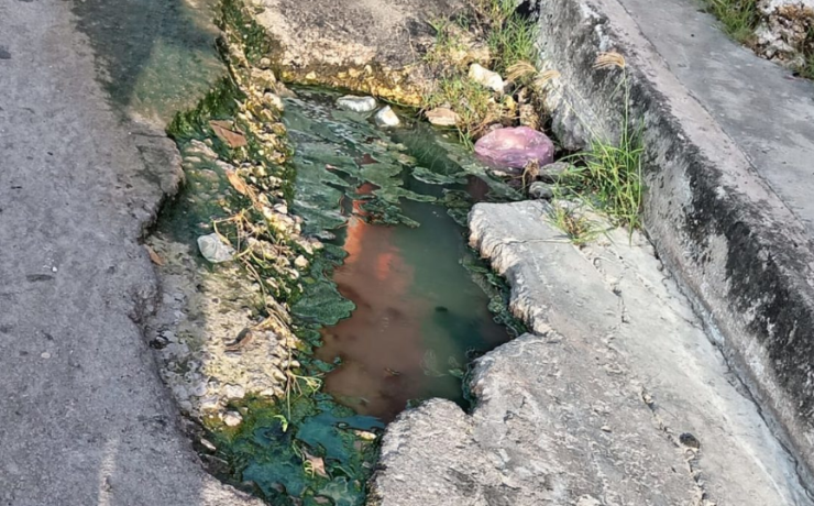 Circuito Constitución abandonado como el resto de Campeche