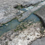 Bache destruye llantas en la colonia Ramón Espínola Blanco