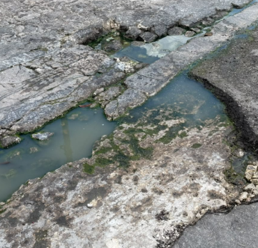 Bache destruye llantas en la colonia Ramón Espínola Blanco