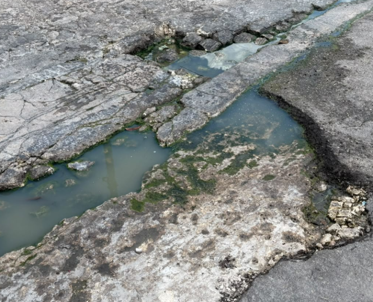 Bache destruye llantas en la colonia Ramón Espínola Blanco