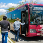 Miles usan el Ko'ox diariamente en Campeche
