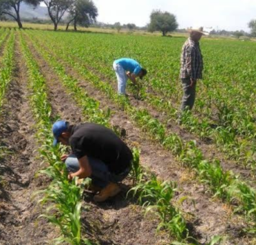 Se vendió El Sorgo y el dinero no apareció