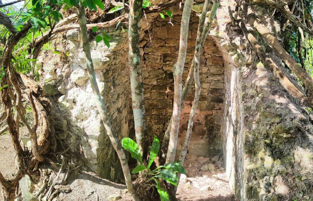 Símbolos de poder en la residencia de élite maya