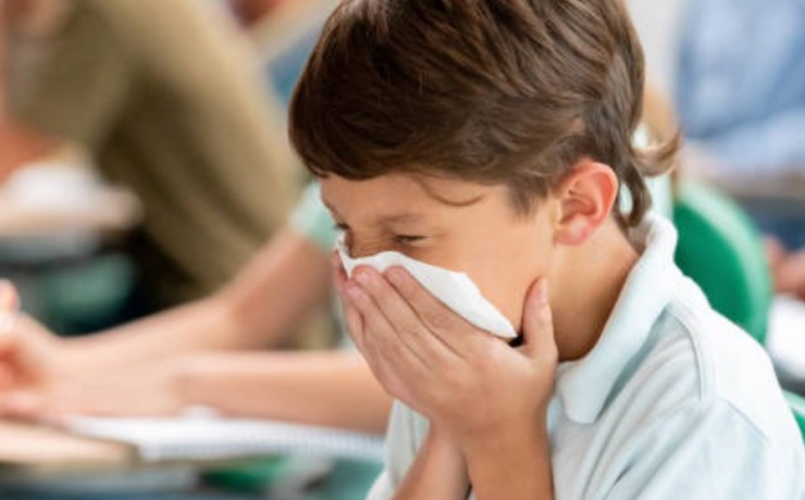 Virus respiratorias en aulas de Campeche
