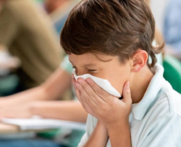 Virus respiratorias en aulas de Campeche