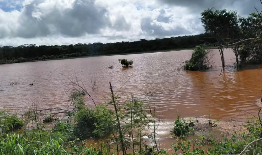Tormentas sepultaron maíz y golpean a productores