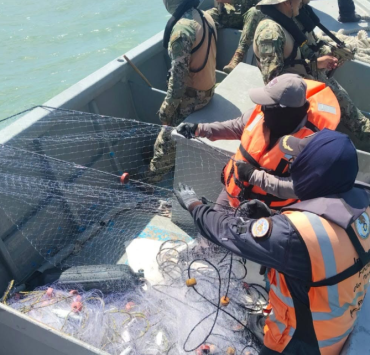 Frenan extracción ilegal de ostión en Campeche
