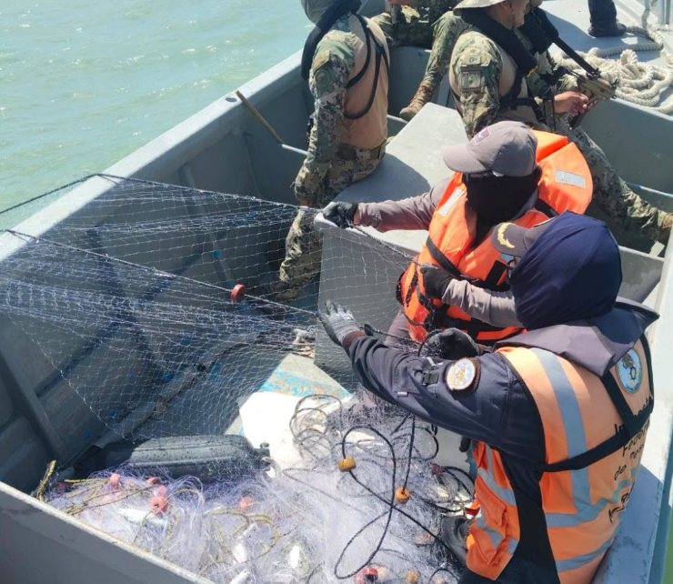 Frenan extracción ilegal de ostión en Campeche