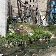 La basura pone en riesgo las calles de Campeche