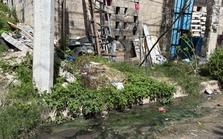 La basura pone en riesgo las calles de Campeche