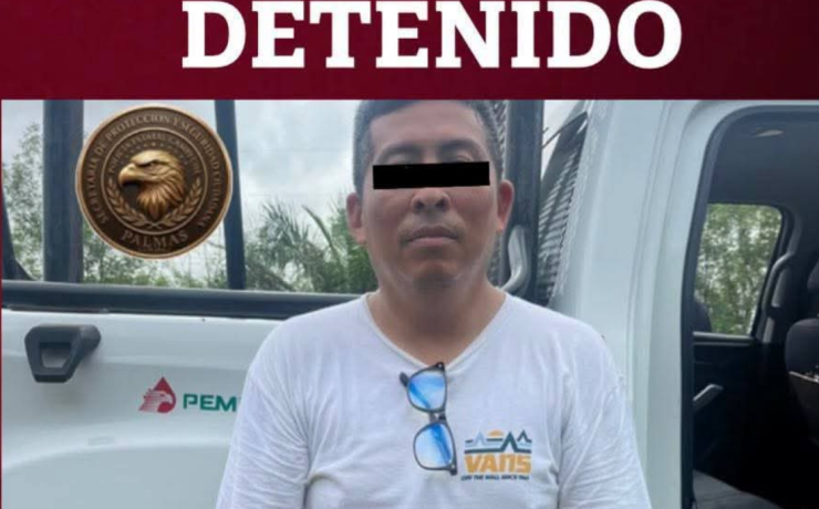 Detienen a hombre por presunto abandono de gatitos
