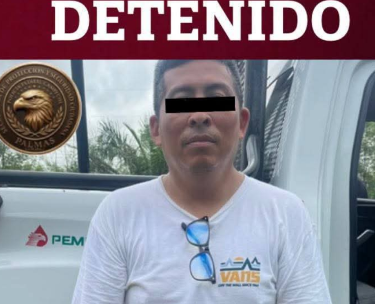 Detienen a hombre por presunto abandono de gatitos