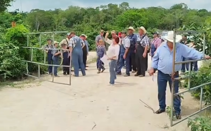 Menonitas recuperan tierras después de dura batalla legal