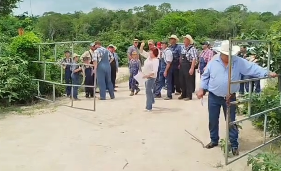 Menonitas recuperan tierras después de dura batalla legal