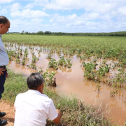 Los campos están bajo el agua en Hopelchén