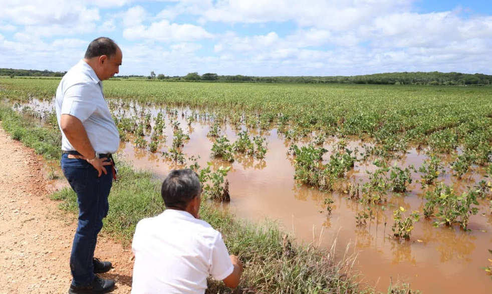 Los campos están bajo el agua en Hopelchén