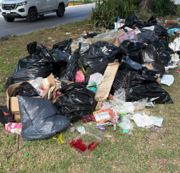 La basura se apodera de la avenida Concordia
