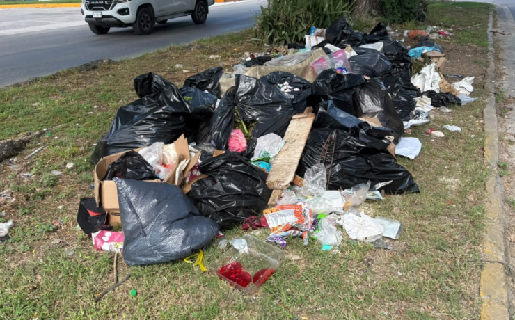 La basura se apodera de la avenida Concordia