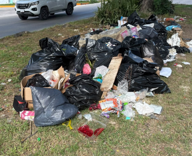 La basura se apodera de la avenida Concordia