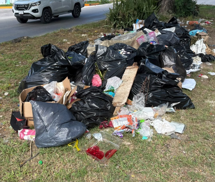 La basura se apodera de la avenida Concordia