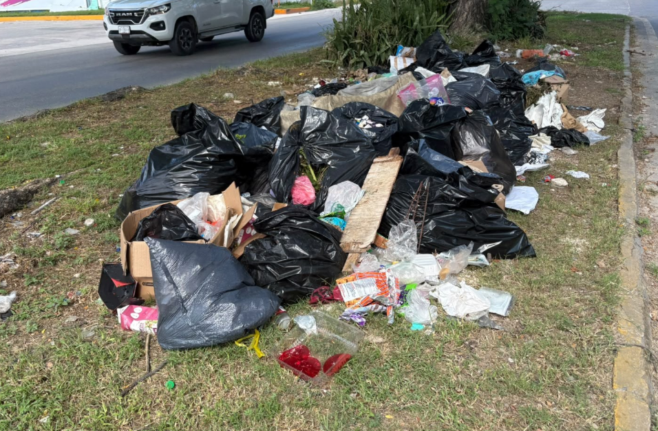La basura se apodera de la avenida Concordia