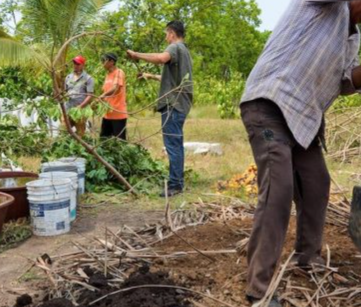 Sembrando Vida recupera el 80% de parcelas en Calakmul