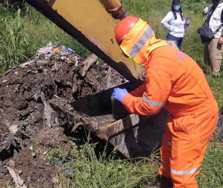 Analizan posibles contaminantes del entorno