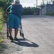 Las banquetas fueron "devoradas" por maleza en colonia Jardines