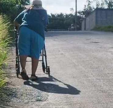 Las banquetas fueron "devoradas" por maleza en colonia Jardines