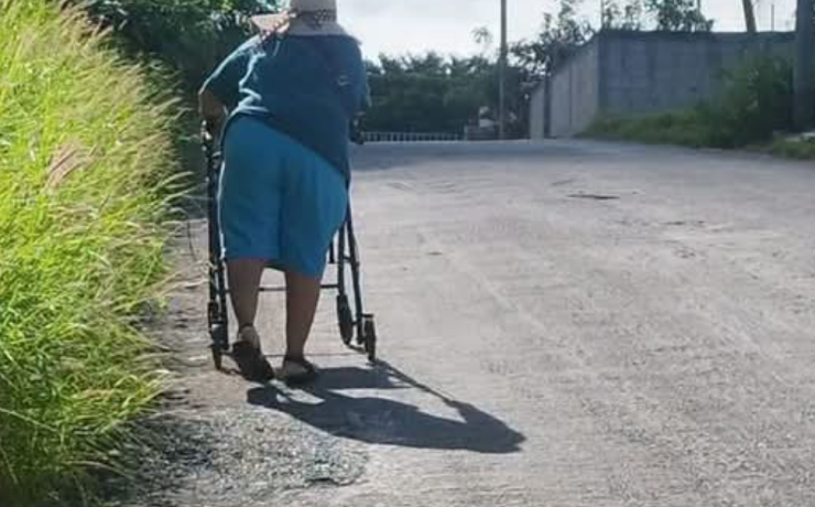 Las banquetas fueron "devoradas" por maleza en colonia Jardines