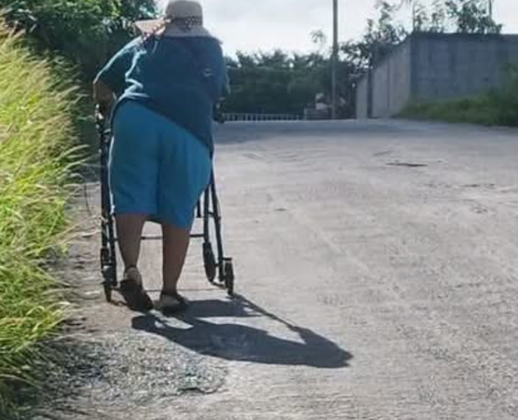 Las banquetas fueron "devoradas" por maleza en colonia Jardines