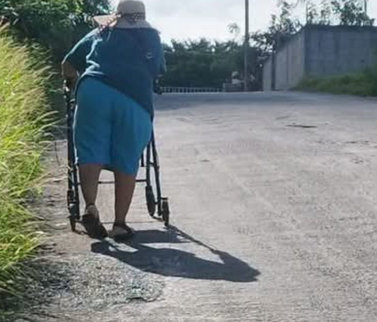 Las banquetas fueron "devoradas" por maleza en colonia Jardines
