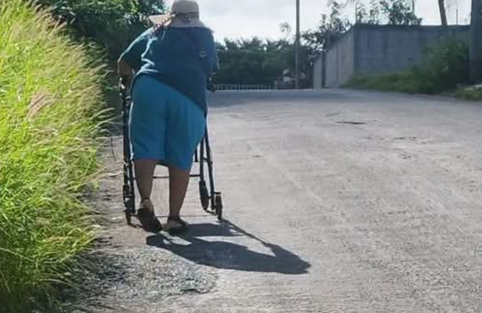 Las banquetas fueron "devoradas" por maleza en colonia Jardines