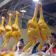 Venta de pollo se mantiene baja en Campeche