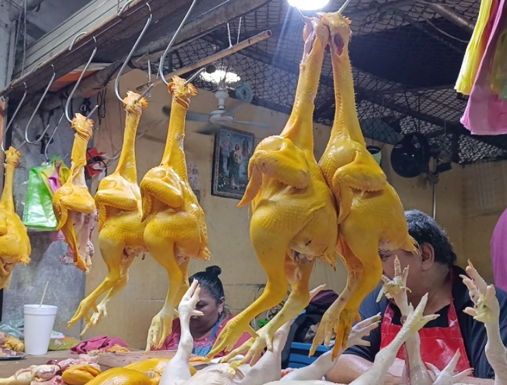 Venta de pollo se mantiene baja en Campeche