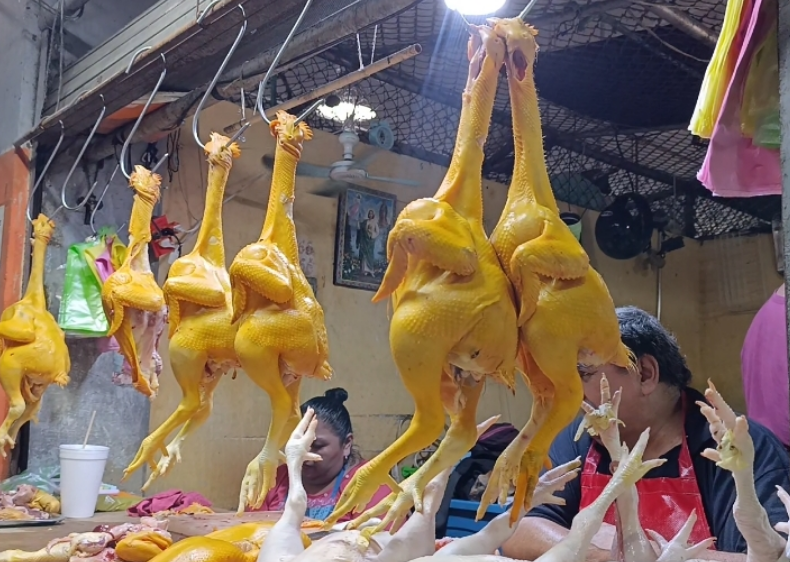 Venta de pollo se mantiene baja en Campeche