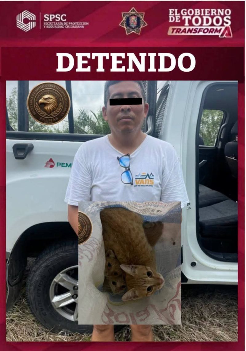 El reporte ciudadano activó la intervención policial